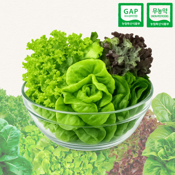 친환경 GAP 무농약 부여 유러피안 샐러드 채소 1kg 800g 550g (4,020원) (무료)
