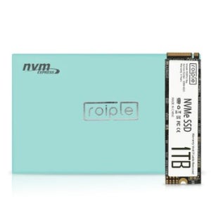 디오테라 ROIPLE Ray M.2 NVMe (1TB)