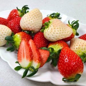 금실과 설화를 한번에 맛보는 딸기 오마카세 500g 1팩