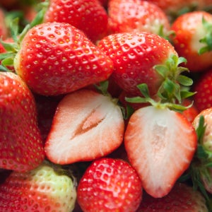 새벽수확 고당도 담양 설향 딸기 500g(20-24입)