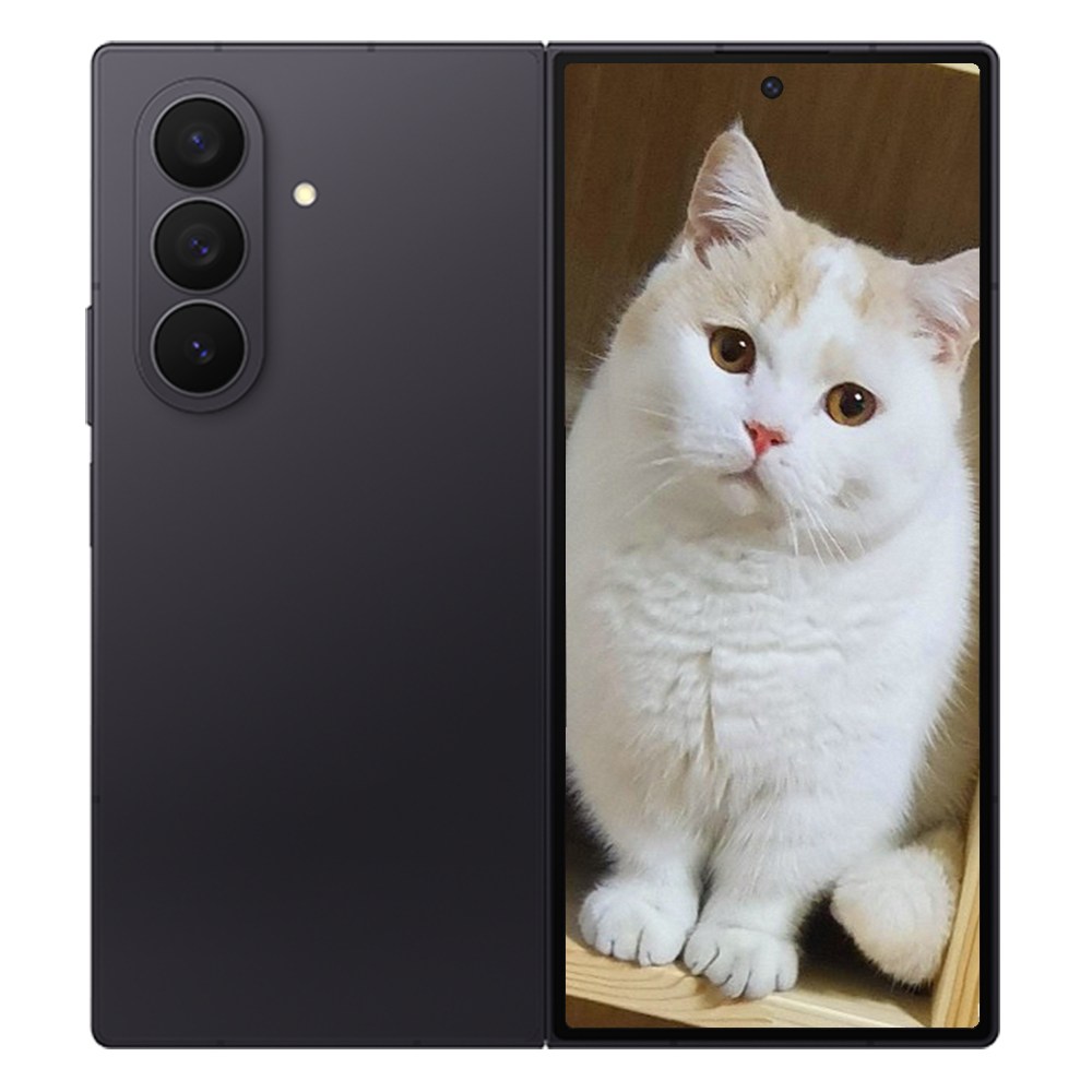 삼성전자 갤럭시 Z 폴드7 256GB 제트 블랙 Jet Black 옵션