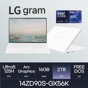 LG전자 HMC / LG전자 그램14 / 14ZD90S-GX56K (RAM 16GB / NVMe 2TB)