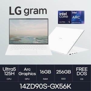 LG전자 HMC / LG전자 그램14 / 14ZD90S-GX56K (RAM 16GB / NVMe 256GB)