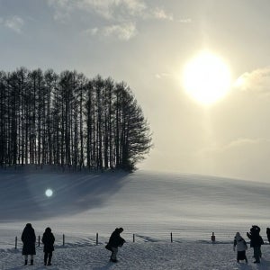 홋카이도 삿포로 비에이&후라노 설경 포토스팟 일일 단독투어 (한국인 가이드)