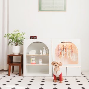 뽀뽀백번 강아지 옷장 행거 원목 옷장 반려동물 수납장 순수 LED펫클로젯 2종 모아보기