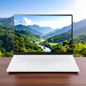 LG전자 LG그램 15ZD80T-GX56K AMD 라이젠 AI 16GB 256GB