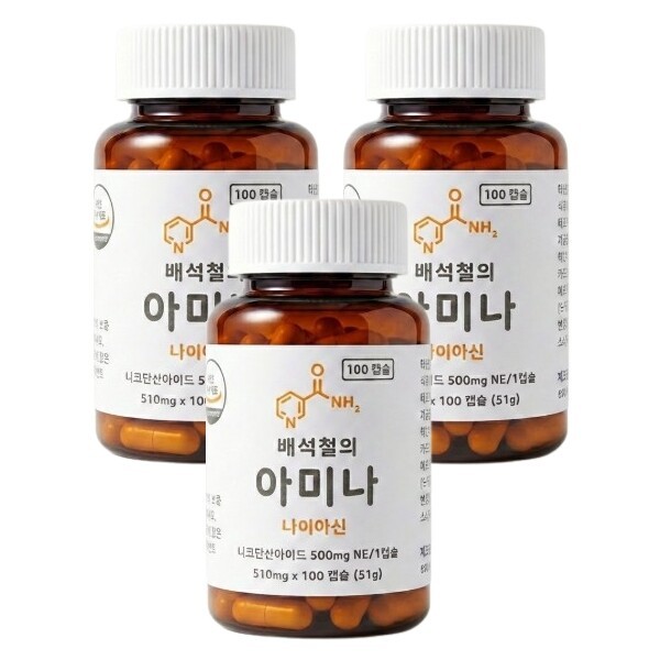 비타민B3 배석철의 아미나 나이아신 500mg 100캡슐 3개