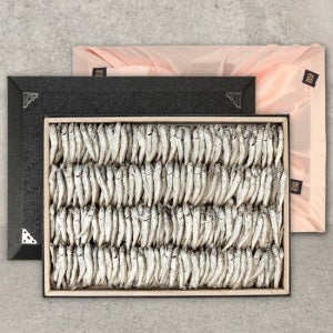 [오초록] 남해 삼천포 죽방멸치 선물세트 / 죽방멸치(중멸) 750g