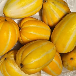 성주 참외 못난이 랜덤과 5kg