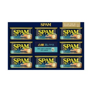 상품 직통 CJ제일제당 스팸라이트12호 선물세트 (45618538)