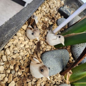 [오늘한잔] 아기새 모형 정원장식 참새_m202601281ff5e4c85