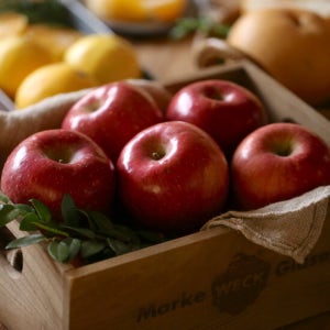 햇살가득 [햇살가득]명절 실속선물 1.5kg(사과6과) 과일선물세트