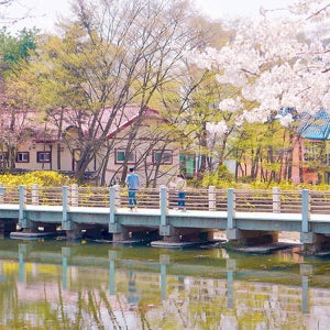 용인 한국민속촌 자유이용권 /당일사용가능 / 용인 가볼만한곳 (주말/오후2시~)