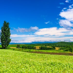 만족도 높은일정 3일 인천출발 오호츠크빙하크루즈 북해도 가족여행 노보리베츠 온천 삿포로