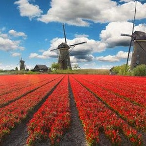 서유럽 4개국 10일 리기정상식사 융프라우 나/폼/소 패키지 여행 대한항공 09월07일출발