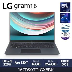 LG전자 HMC 25년도 LG그램 프로 16ZD90TP-GX5BK (RAM 16GB / NVMe 256GB)