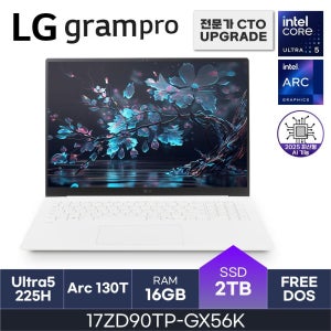 LG전자 LG 그램 17인치 인텔15세대 U5 오피스밸류팩증정 PD충전 WQXGA D5-16GB 2TB FreeDOS 17ZD90TP-GX56K HMC