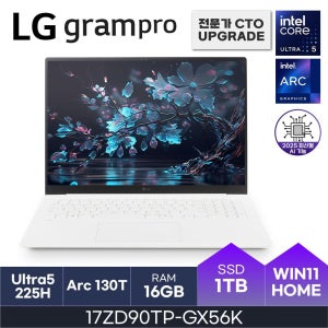 LG전자 LG 그램 17인치 인텔15세대 U5 오피스밸류팩증정 PD충전 WQXGA D5-16GB 1TB Win11Home 17ZD90TP-GX56K HMC