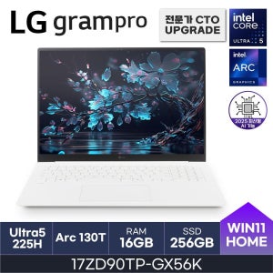 LG전자 LG 그램 17인치 인텔15세대 U5 오피스밸류팩증정 PD충전 WQXGA D5-16GB 256GB Win11Home 17ZD90TP-GX56K HMC