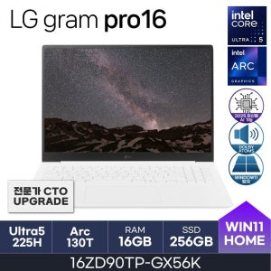 LG전자 HMC 25년도 LG그램 프로  16ZD90TP-GX56K (RAM 16GB / NVMe 256GB / WIN11H)