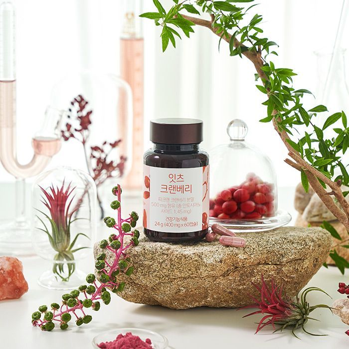 네츄럴굿띵스 잇츠 <b>크랜베리 400mg</b>60입