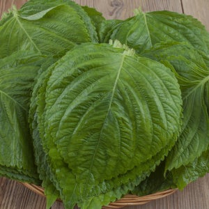 산지직송 국내산 깻잎 10묶음