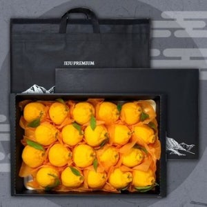 제주 한라봉 선물세트 4.5kg 대과