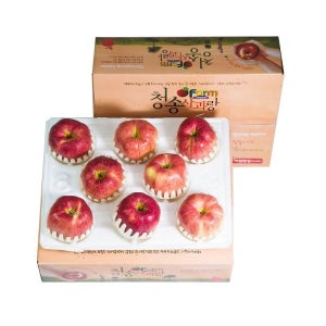 아침햇살 부사 정품 2.5kg 8~10과 팬캡포장