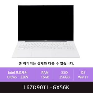 LG전자 그램 프로16 16ZD90TL-GX56K Win11설치(zoaa)