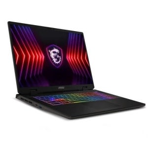 MSI 소드 17 HX B13VGKG i9 16GB 500GB RTX4070 17인치