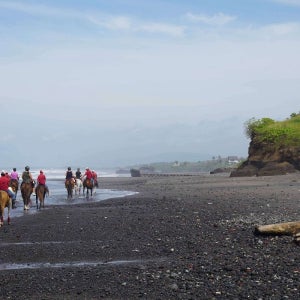 인도네시아 발리 승마 체험 (10분 / 30분 / 60분 / 90분)
