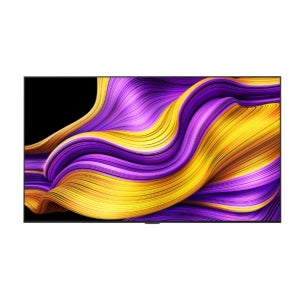 엘지전자 올레드 evo AI OLED65G5KNA 163cm 벽걸이 무료설치  (Y)