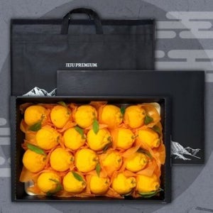 제주 한라봉 선물세트 4.5kg 중과