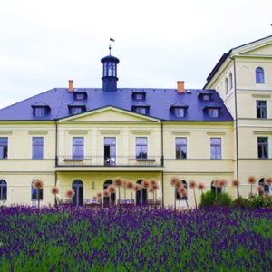 체코 샤토 므첼리 금까기 -  프라하성 가이드 투어 무료 제공(5만원 상당)