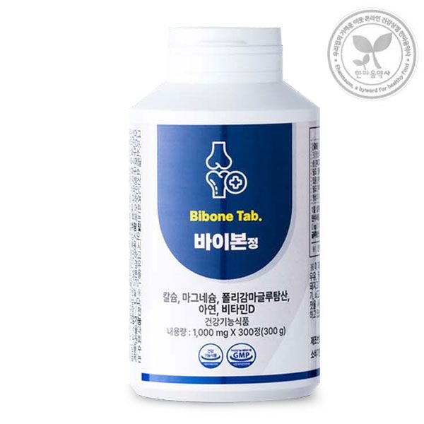 바이본정