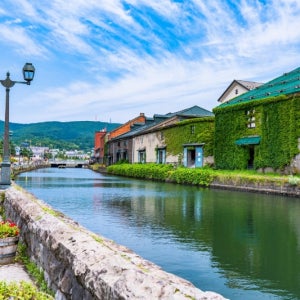 삿포로눈축제감상 부산출발 봄특가지금예약 럭셔리호캉스 주말여행가능 후라노 삿포로패키지 현지가이드 4일