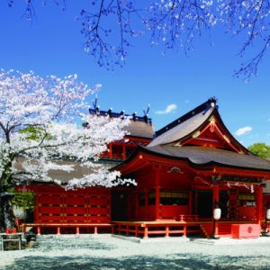 주말여행 요코하마 가마쿠라 고풍료칸 체험숙박 도쿄 특가여행 5월출발 3박4일 부산출발 단독패키지 오다이바 해안전망