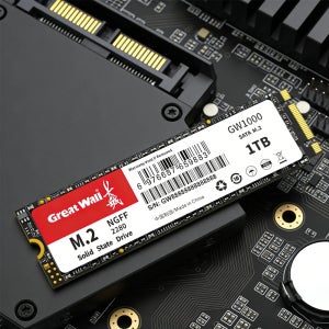 그레이트 월 M.2 SSD NGFF 128GB 256GB 512GB 1TB 2TB M2 SATA SSD 2280 SATA3 내장형 솔리드 스테이트 드라이브 하드 디스크 (노트북/데
