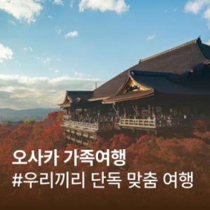 오사카 가족여행 2박3일 핵심도시 투어 오사카 교토 고베 나라 패키지 일본 여행