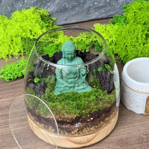 [신작할인]어둠과 빛의 공존, 불상 테라리움🌋화산적광 부처님, 코모스(KORMOSS)
