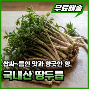 국내산 땅두릅