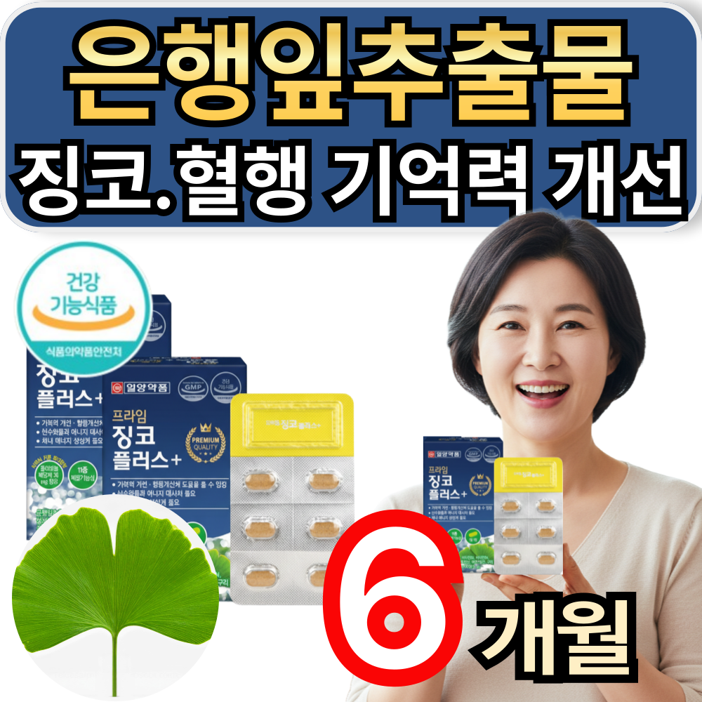 은행잎추출물 혈액순환제 징코 혈행 기억력 개선 영양제 식약청인증 휘게라이프  3개  60정