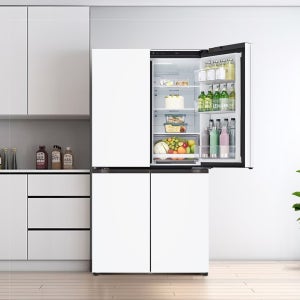 LG 디오스 오브제컬렉션 매직스페이스 T873MHH111 870L