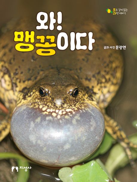 와! 맹꽁이다