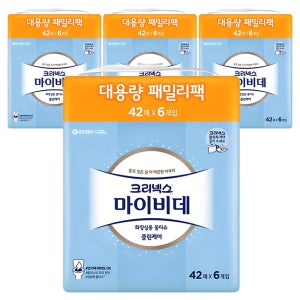 마이비데 화장실용 물티슈 42매, 24개