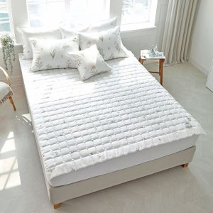 [롯데백화점] 닥스 침구 인견 아몬드 패드 퀸 LE1216735531