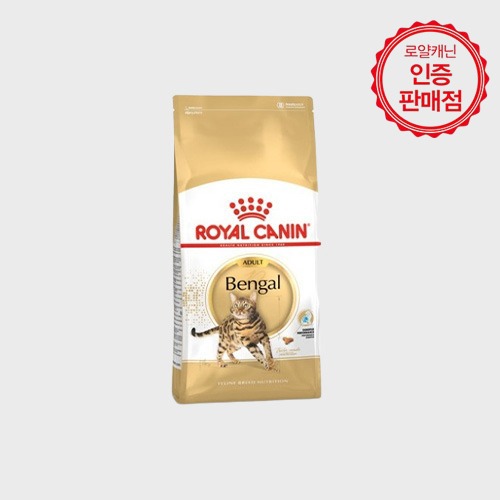 Bengal Cat (뱅갈 고양이)