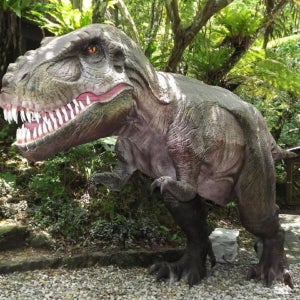 오키나와 디노 파크 티켓 입장권