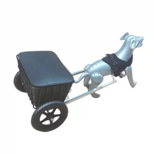 개썰매 끌차 훈련 강아지썰매 눈썰매 카트 산책