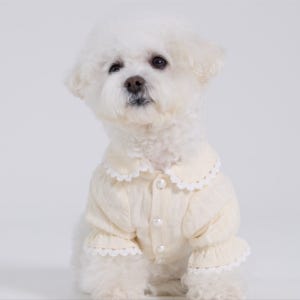 프릴 레이스 블라우스 yellow, 비스타비에(VISTAVIE)